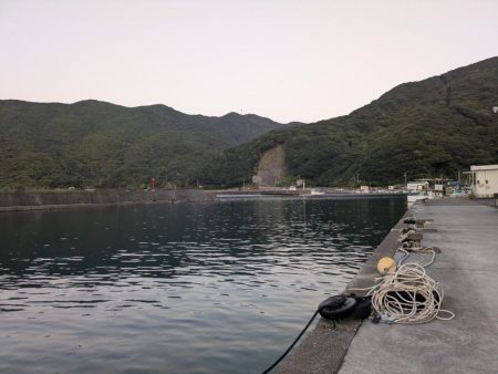 高知の獲物は大きいぞ