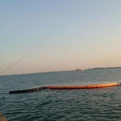 サゴシさんお久しぶりです