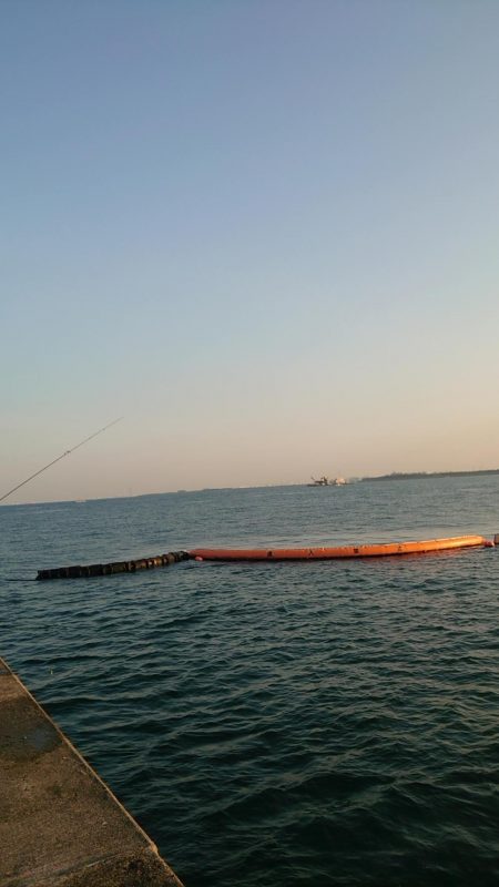 サゴシさんお久しぶりです