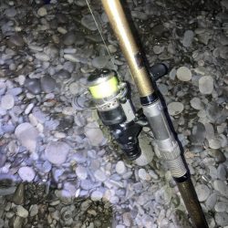 サーフの投げサビキでチヌとアジGET