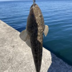 ライトショアジギング