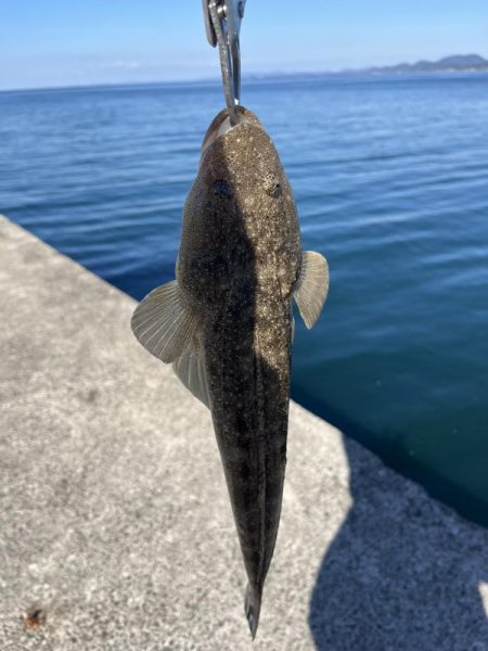 ライトショアジギング