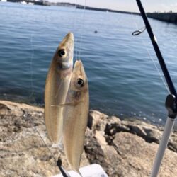 東二見釣行!