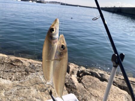 東二見釣行!