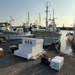 印南ティップラン