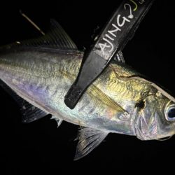 アドレナリン出た〜！