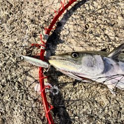 バラしまくったけど