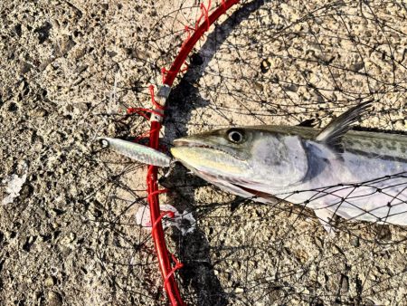 バラしまくったけど