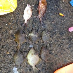 けっこう寒かった