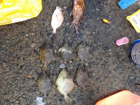 けっこう寒かった