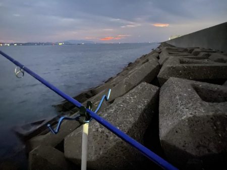 激シブ:シロギスタ