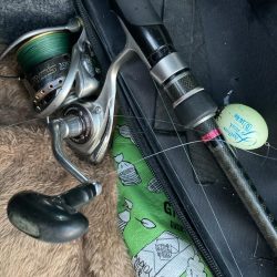 フロートリグでサバング