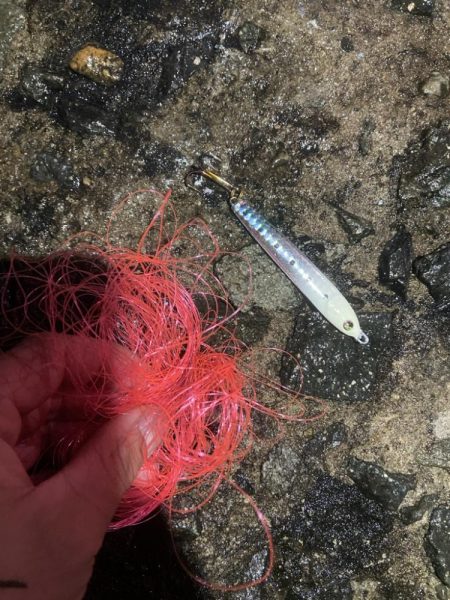 今年一番小さい。