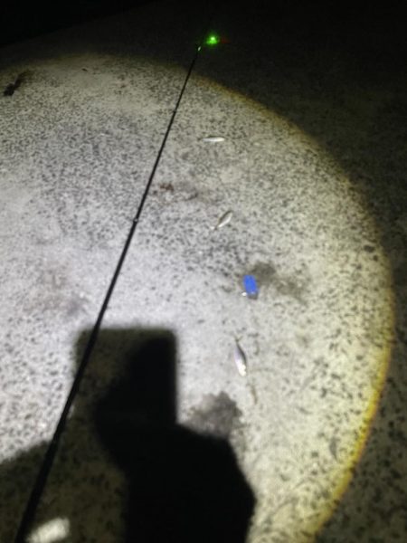 久しぶりの遠投　サビキ