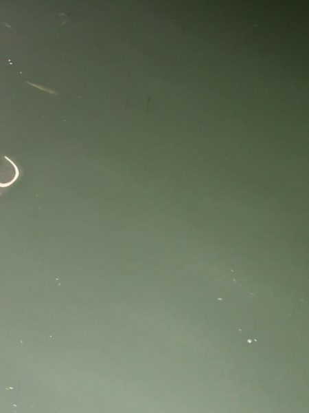 またまたアジング