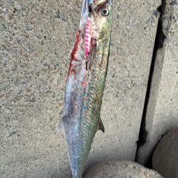 今日も海の恵みに感謝