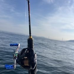 明石✖️オモリグ✖️アオリ