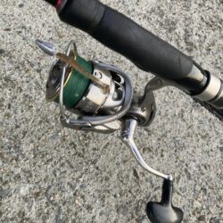 朝マズメのカマス釣り