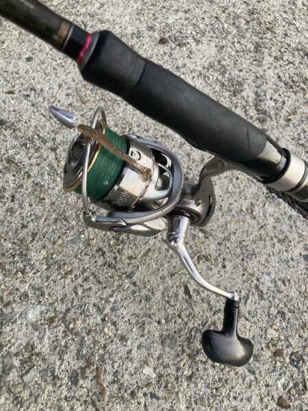 朝マズメのカマス釣り