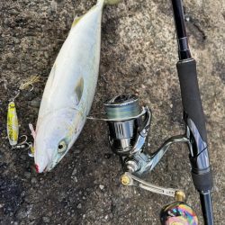 ショアジギング！