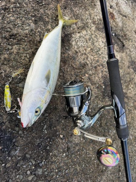 ショアジギング！