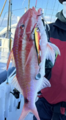 LJでホウキハタ連チャン!