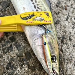 ショアジギング