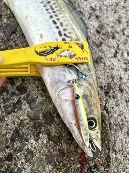 ショアジギング