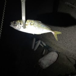 フロートアジング