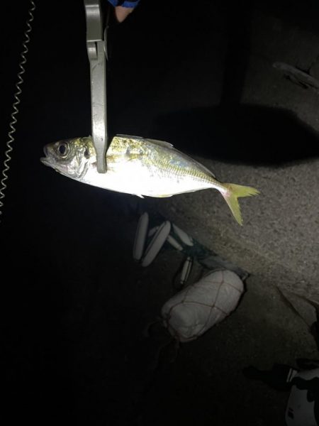 フロートアジング