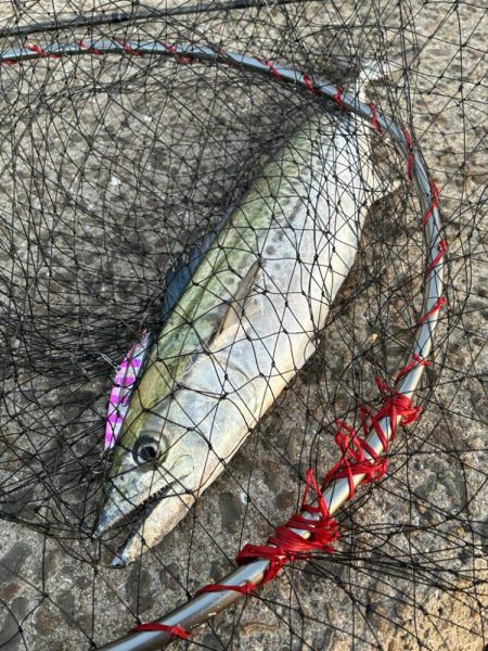 30分のフィーバータイム！