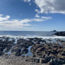 ランガンエギング