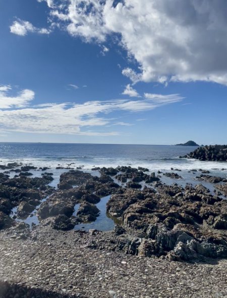 ランガンエギング