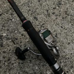 朝マズメのフロートリグでアジング