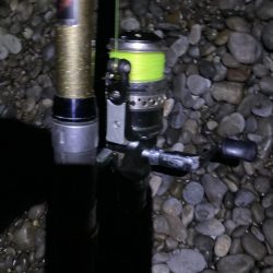 サーフで投げサビキでアジ13匹GET