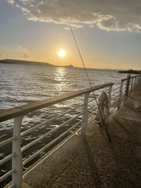 三連休最終サゴシ狩り