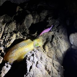 久しぶりのジェット噴射