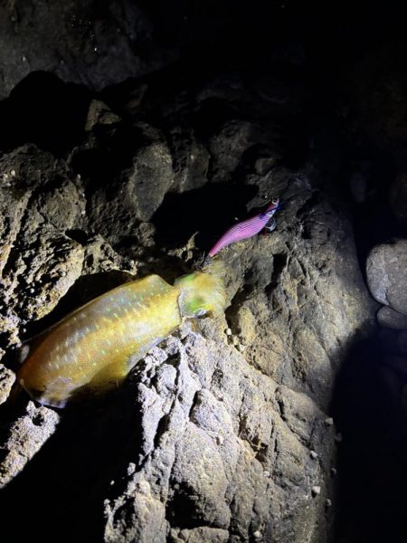 久しぶりのジェット噴射