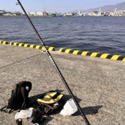 雰囲気だけは釣れそうなのに