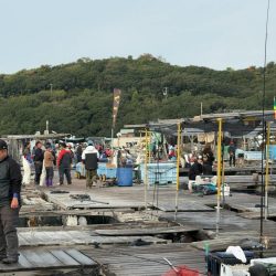 久しぶりの海恵♪