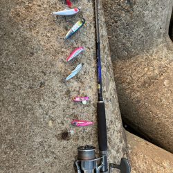 そろそろハマちゃんが釣りたい・・・