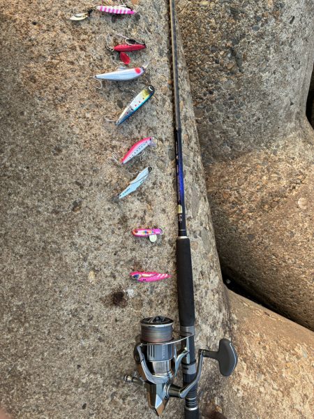 そろそろハマちゃんが釣りたい・・・