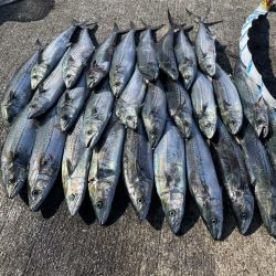 初経験と感謝の日