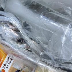 船からタチウオ