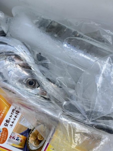 船からタチウオ