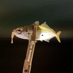 サバをかわしてアジ