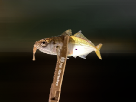 サバをかわしてアジ