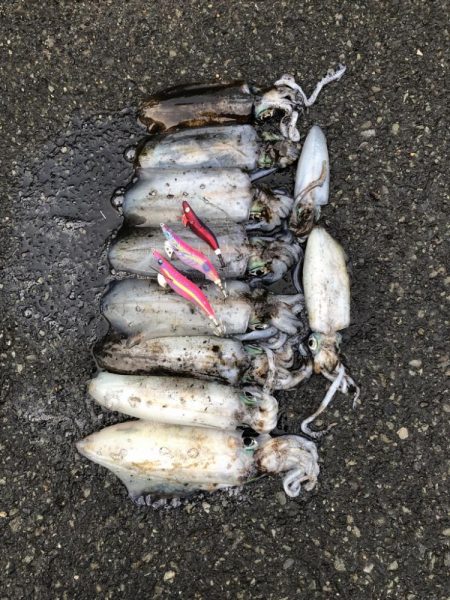 オールナイト釣行