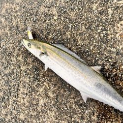 信じて投げ続ける