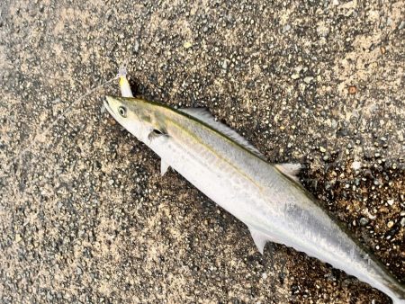 信じて投げ続ける